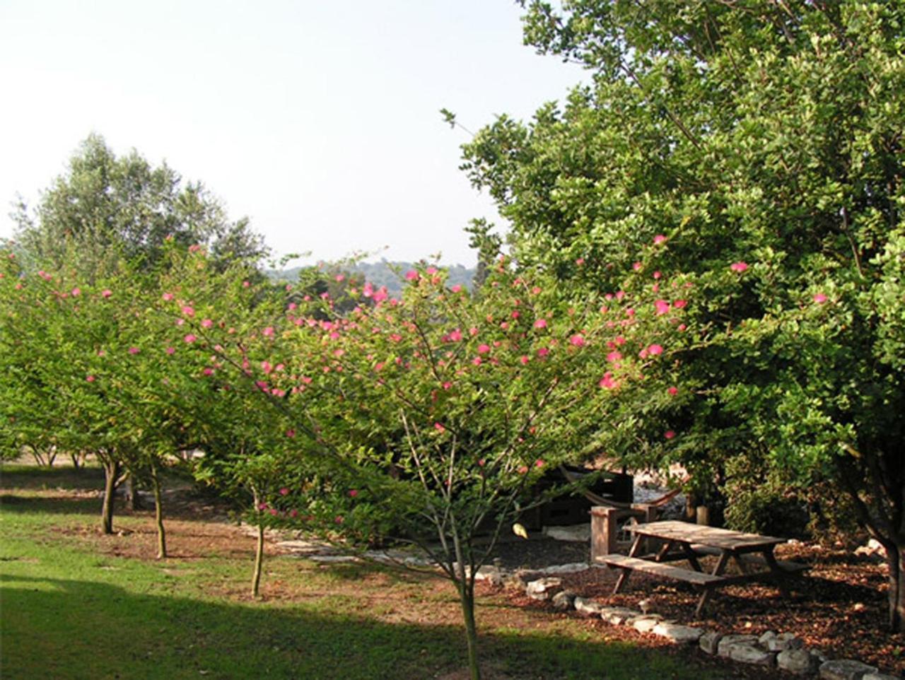 Willa Amikam Meshek 81 משק 81 עמיקם Zewnętrze zdjęcie